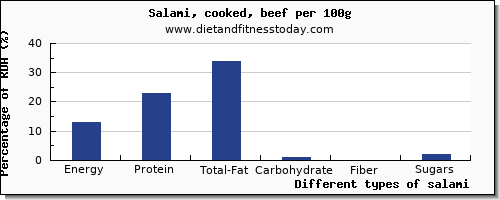 nutritional value and nutrition facts in salami per 100g